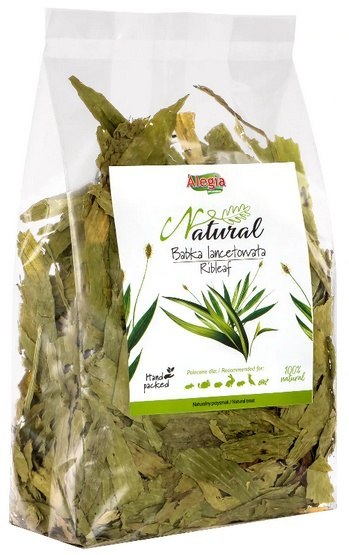 Alegia Babka lancetowata 100g Alegia Babka lancetowata 100g