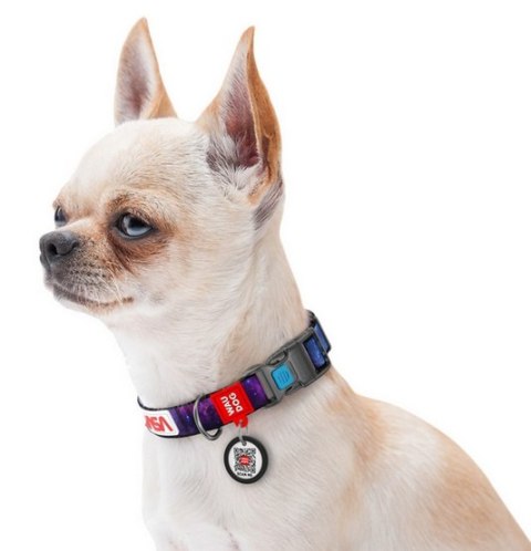 Collar WauDog Nylon Obroża nylonowa z QR-paszportem, plastikowy fastex, wzór NASA21, 20mm/28-40cm Collar WauDog Nylon Obroża nylonowa z QR-paszportem, plastikowy fastex, wzór NASA21, 20mm/28-40cm