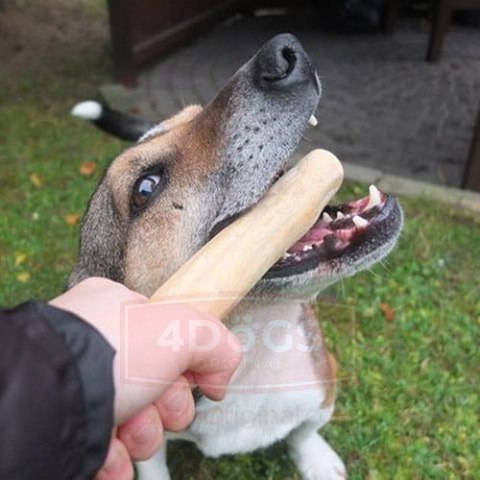 4DOGS Gryzak z drzewa kawowego L