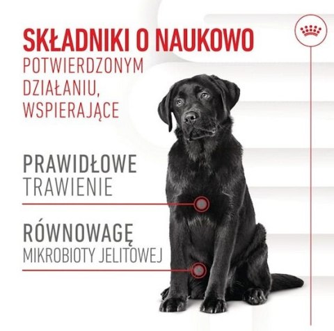 Royal Canin Digestion Chews Adult Supplements 160g